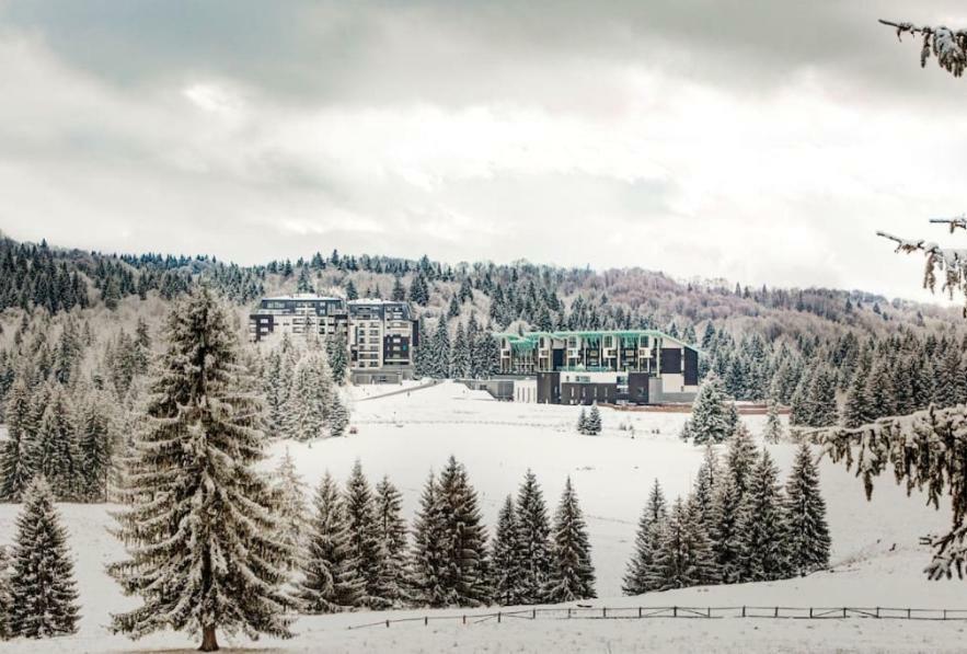 Charming 3-Bedroom Apartment Poiana Brasov Eksteriør bilde